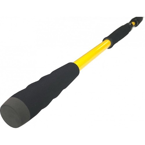 Zfish Rod Kodiak 2,40m/100-250g