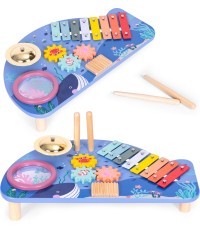Instrument table music table dulcimer cymbal percussion cymbal grater marine theme ECOTOYS