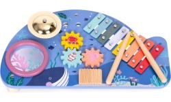 Instrument table music table dulcimer cymbal percussion cymbal grater marine theme ECOTOYS