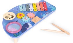 Instrument table music table dulcimer cymbal percussion cymbal grater marine theme ECOTOYS