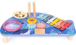 Instrument table music table dulcimer cymbal percussion cymbal grater marine theme ECOTOYS