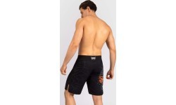 Мужские бойцовские шорты Venum Gladiator 5.0, чёрный/серебристый
