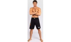 Мужские бойцовские шорты Venum Gladiator 5.0, чёрный/серебристый