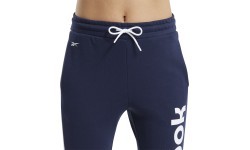 Reebok TE Linear Logo FT sieviešu bikses zilas FU2259