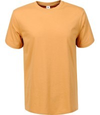 Glo Story vīriešu T-krekls Brown MPO D0103