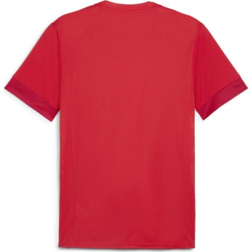 Puma Men's TeamGoal Matchday Jersey Red 705747 01