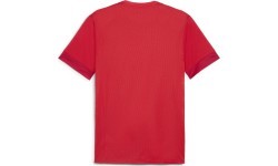 Мужская футболка Puma TeamGoal Matchday Jersey Red 705747 01
