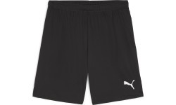 Puma TeamGoal Men's Shorts Black 705752 03