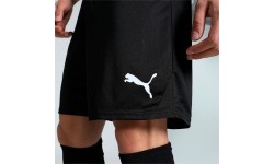 Puma TeamGoal Men's Shorts Black 705752 03