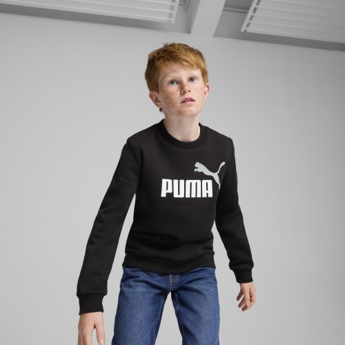 Puma džemperis pusaudžiem Ess + 2 Col Big Logo FL Black 586986 60