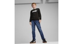 Puma Ess + 2 Col Big Logo FL Junior Hoodie Black 586986 60