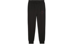Puma Ess+ Logo Lab Sweatpants FL Men's Sweatpants Black 681776 01