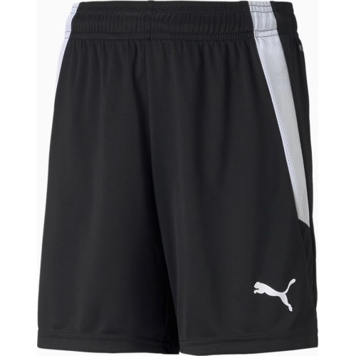 Puma TeamLiga Shorts Jr Junior Shorts Black 704931 03