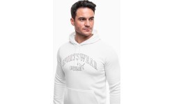 Мужская толстовка Puma Ess+ Logo Lab Hoodie FL, белая 681775 02