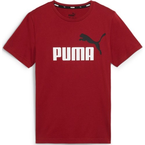 Puma Marškinėliai Paaugliams Ess+ 2 Col Logo Tee Bordeaux 586985 14