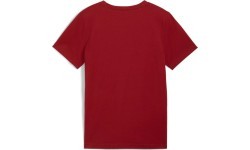 Puma Marškinėliai Paaugliams Ess+ 2 Col Logo Tee Bordeaux 586985 14
