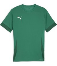 Мужская футболка Puma TeamGoal Matchday Jersey Green 705747 05