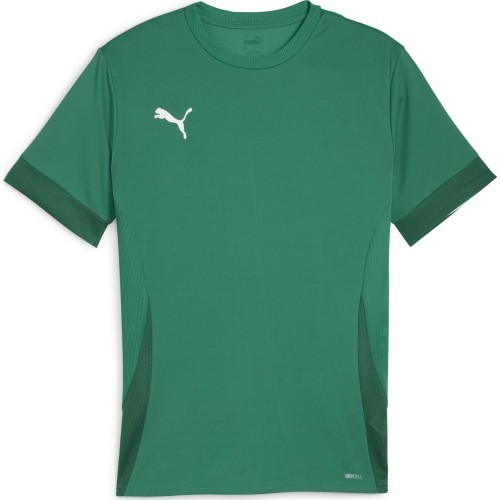 Puma vīriešu krekls TeamGoal Matchday Jersey Green 705747 05