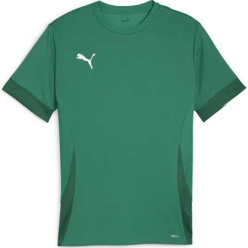 Мужская футболка Puma TeamGoal Matchday Jersey Green 705747 05