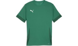 Puma vīriešu krekls TeamGoal Matchday Jersey Green 705747 05