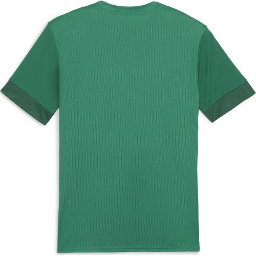 Puma vīriešu krekls TeamGoal Matchday Jersey Green 705747 05