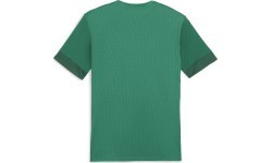 Puma TeamGoal Matchday Jersey Men's T-Shirt Green 705747 05