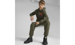 Брюки подростковые Puma Ess + 2 Col Logo Pants Fl, хаки 586988 77