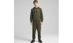 Puma Ess + 2 Col Logo Pants Fl pusaudžu bikses, haki 586988 77