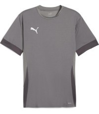 Puma Marškinėliai Vyrams TeamGoal Matchday Jersey Grey 705747 13