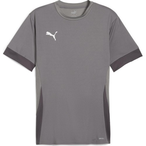 Puma Marškinėliai Vyrams TeamGoal Matchday Jersey Grey 705747 13