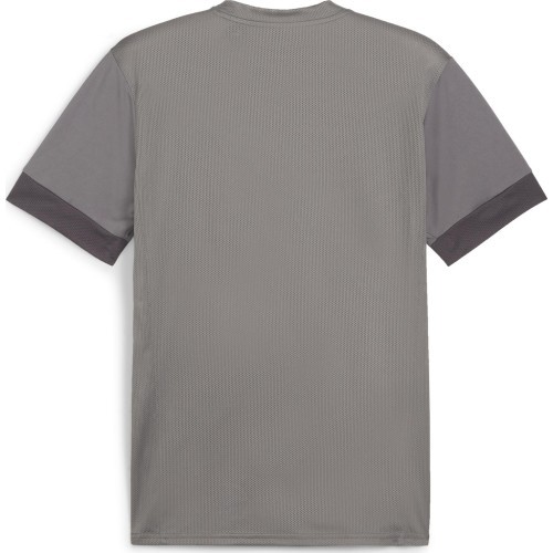 Puma Marškinėliai Vyrams TeamGoal Matchday Jersey Grey 705747 13