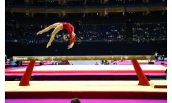 Balance Beam GYMNOVA FIG For Competitions 5 m