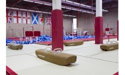 LOW POMMEL HORSE - HEIGHT 50 cm