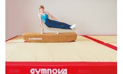 LOW POMMEL HORSE - HEIGHT 50 cm