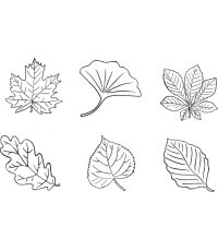Leaves. Stamps