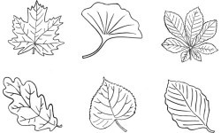 Leaves. Stamps