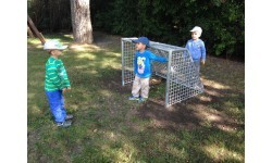 Mini Gate Inter-Play
