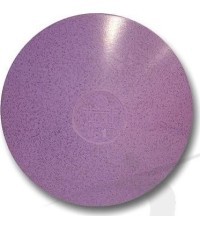 Disc POLANIK DSK-1