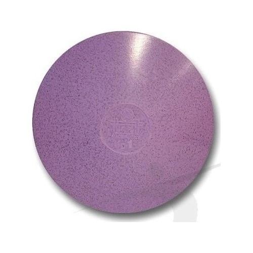 Disc POLANIK DSK-1