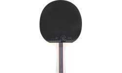 Ракетка для настольного тенниса inSPORTline Shootfair S3
