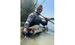 Reel Zfish Catfish Zeus ZX 8000