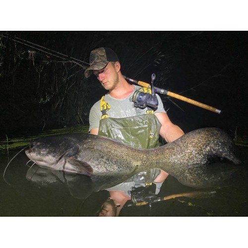 Reel Zfish Catfish Zeus ZX 8000