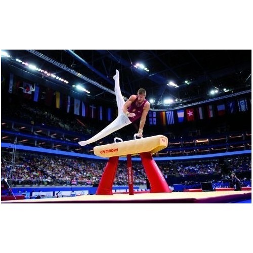 Гимнастический козёл GYMNOVA, кожаный, одобрено FIG