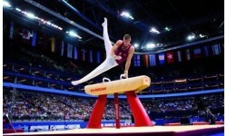 Gymnastics Goat Vault GYMNOVA FIG approved, leathern