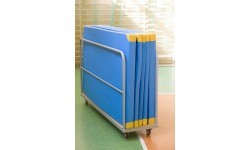 Landing Area Transportation Trolley Coma-Sport IN-172