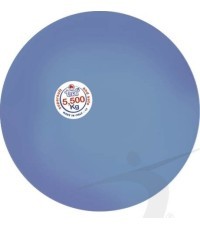 Shot Put Training Ball POLANIK VDL55
