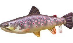 Mini Brown Trout Pillow