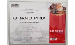 Rod Zfish Catfish Morga 2.70m, 100-400g