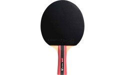 Cornilleau Sport 300