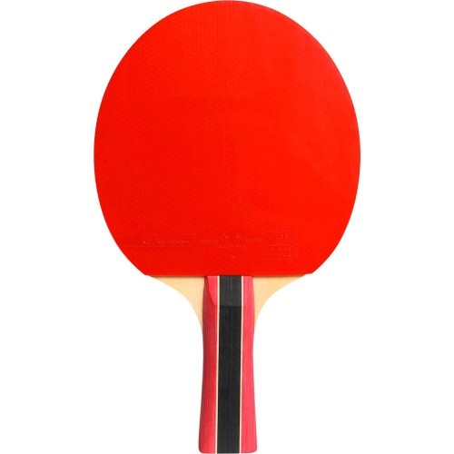 Cornilleau Sport 300